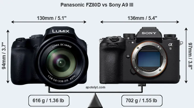 Size Panasonic FZ80D vs Sony A9 III