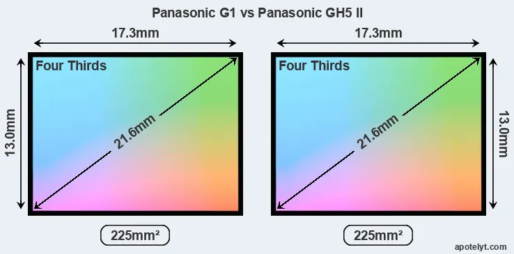 Panasonic G1 and Panasonic GH5 II sensor measures
