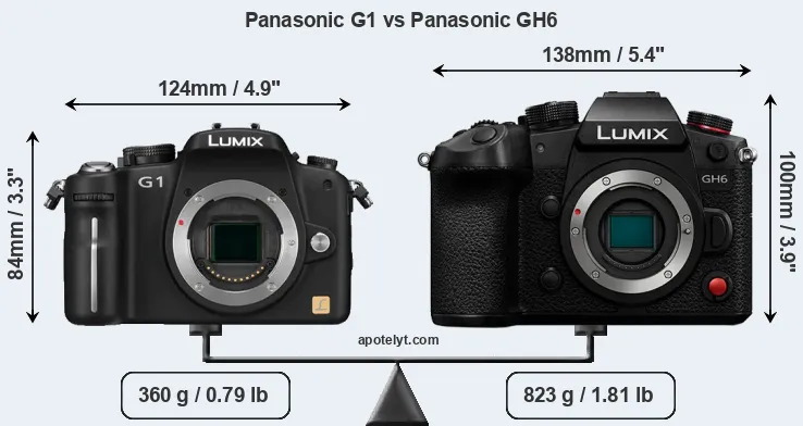 Size Panasonic G1 vs Panasonic GH6