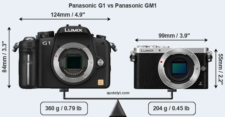 Size Panasonic G1 vs Panasonic GM1