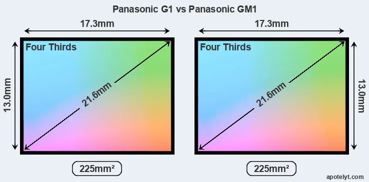 Panasonic G1 and Panasonic GM1 sensor measures