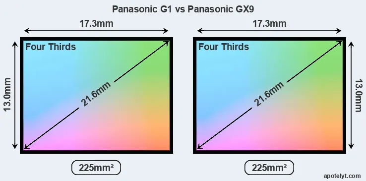 Panasonic G1 and Panasonic GX9 sensor measures