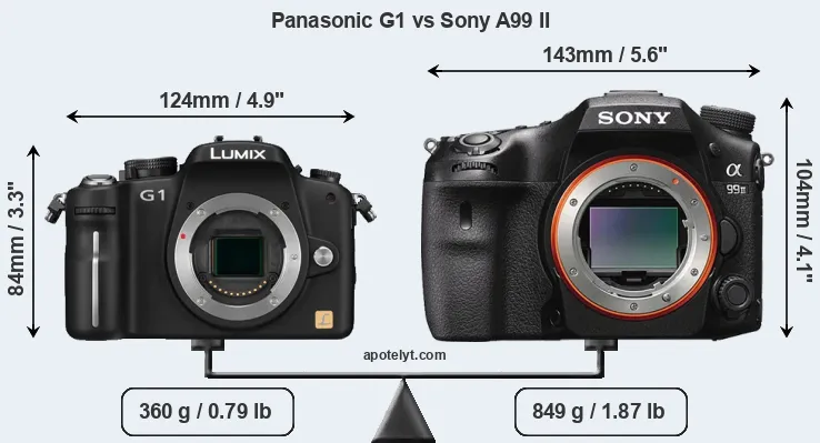 Size Panasonic G1 vs Sony A99 II