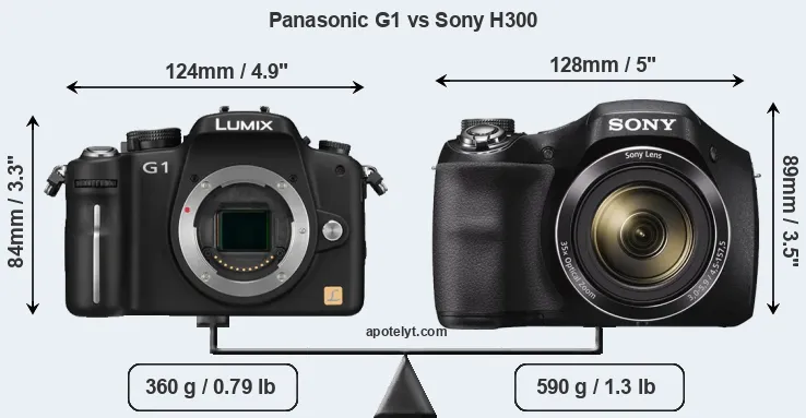 Size Panasonic G1 vs Sony H300