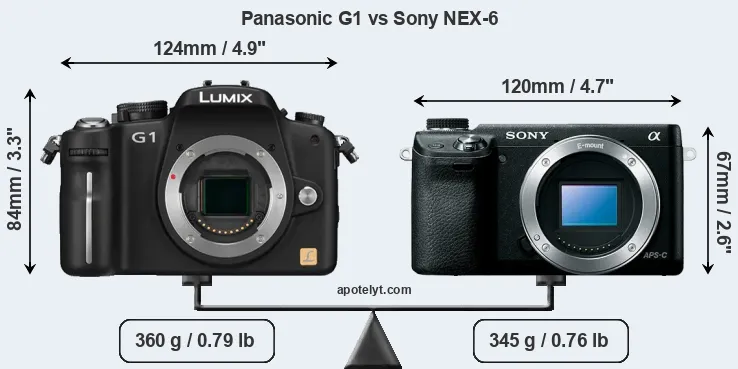 Size Panasonic G1 vs Sony NEX-6