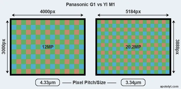 G1 versus M1 MP