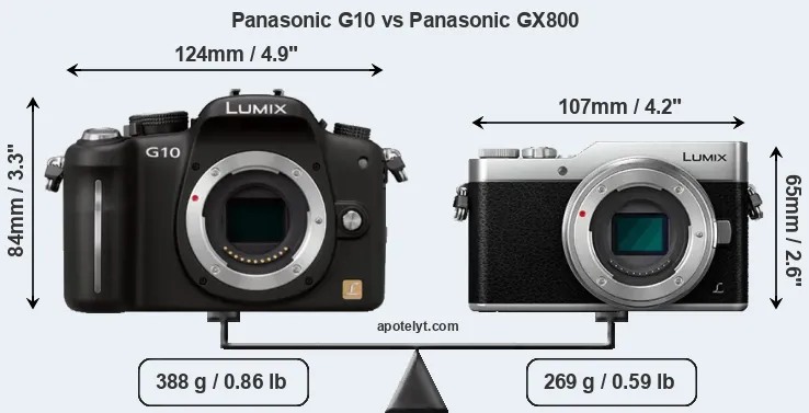 Size Panasonic G10 vs Panasonic GX800