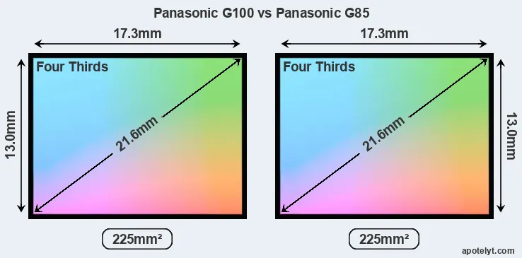 Panasonic G100 and Panasonic G85 sensor measures