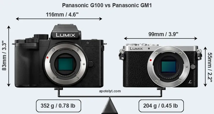Size Panasonic G100 vs Panasonic GM1