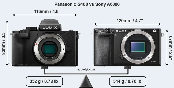 Size Panasonic G100 vs Sony A6000