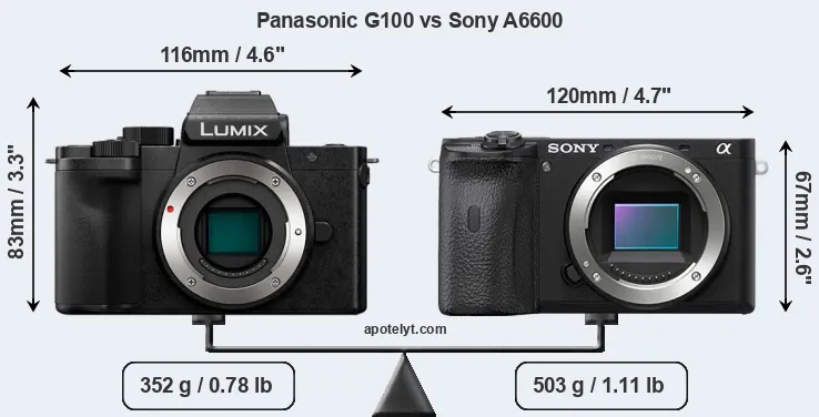 Size Panasonic G100 vs Sony A6600