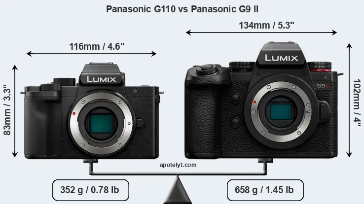 Size Panasonic G110 vs Panasonic G9 II
