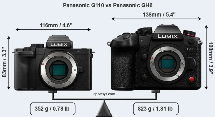 Size Panasonic G110 vs Panasonic GH6