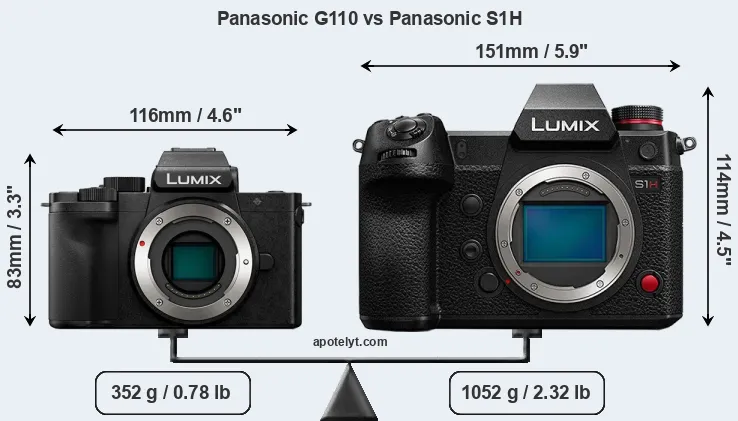 Size Panasonic G110 vs Panasonic S1H