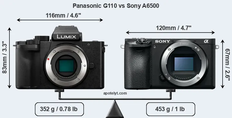 Size Panasonic G110 vs Sony A6500