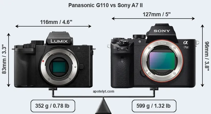 Size Panasonic G110 vs Sony A7 II