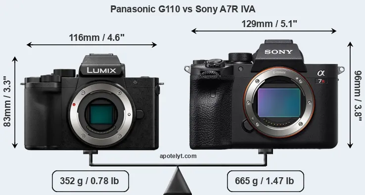 Size Panasonic G110 vs Sony A7R IVA