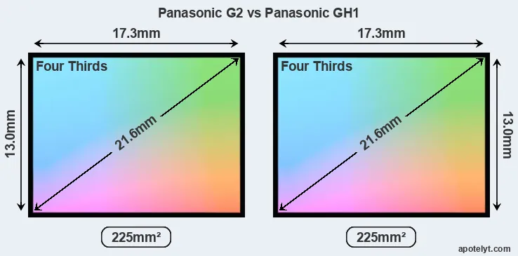 Panasonic G2 and Panasonic GH1 sensor measures