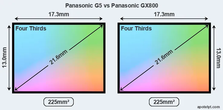 Panasonic G5 and Panasonic GX800 sensor measures