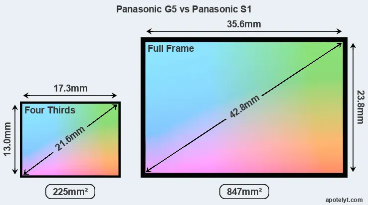 Panasonic G5 and Panasonic S1 sensor measures