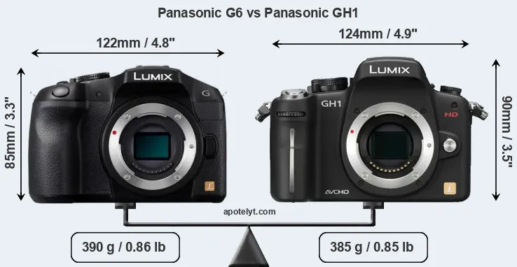 Size Panasonic G6 vs Panasonic GH1