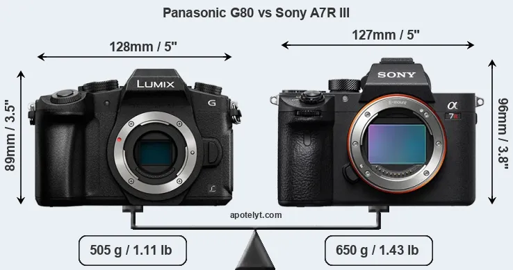 Size Panasonic G80 vs Sony A7R III