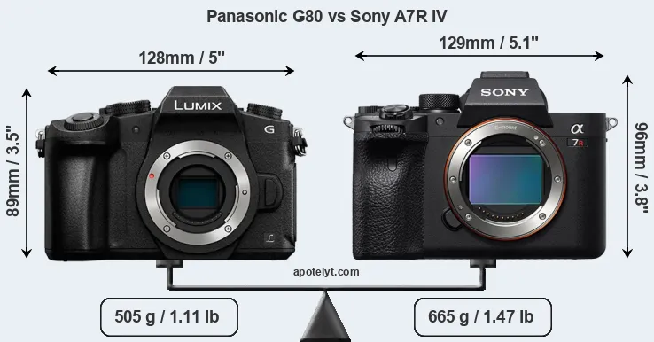 Size Panasonic G80 vs Sony A7R IV