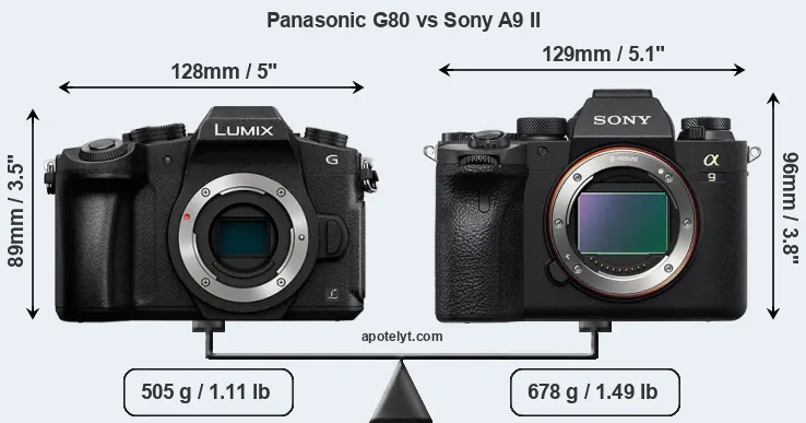Size Panasonic G80 vs Sony A9 II