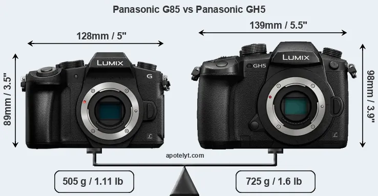 Size Panasonic G85 vs Panasonic GH5