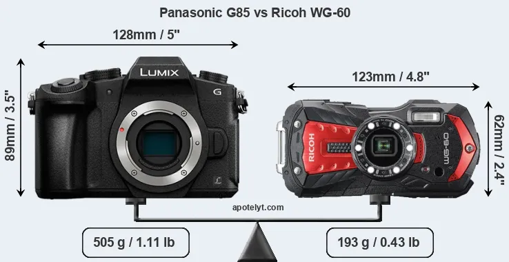 Size Panasonic G85 vs Ricoh WG-60