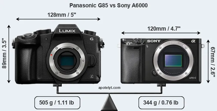 Size Panasonic G85 vs Sony A6000