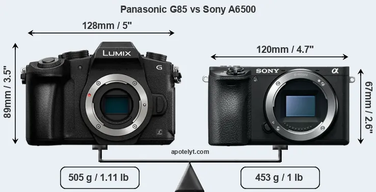 Size Panasonic G85 vs Sony A6500