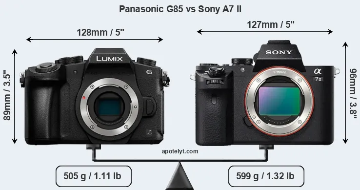 Size Panasonic G85 vs Sony A7 II