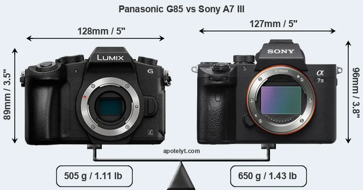 Size Panasonic G85 vs Sony A7 III