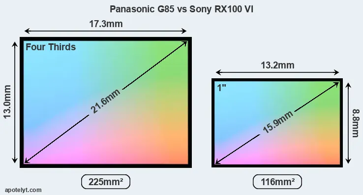 Panasonic G85 and Sony RX100 VI sensor measures