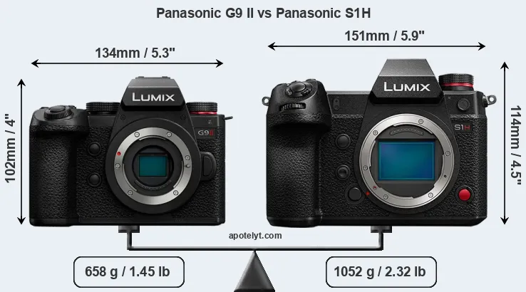 Size Panasonic G9 II vs Panasonic S1H