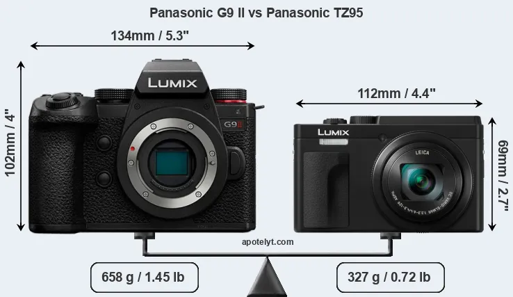 Size Panasonic G9 II vs Panasonic TZ95