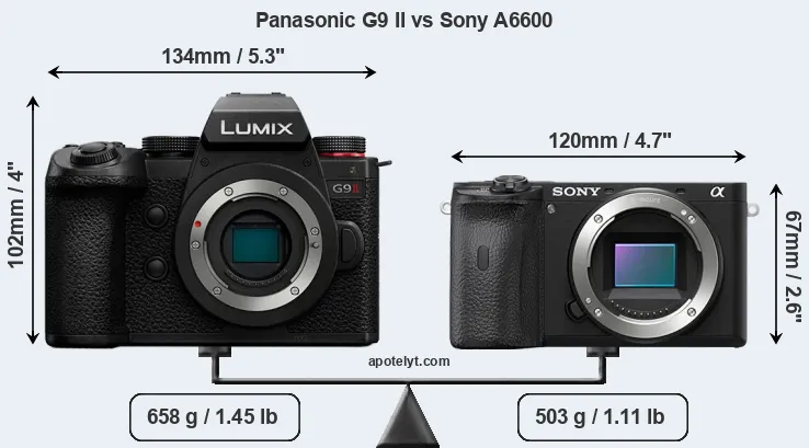 Size Panasonic G9 II vs Sony A6600