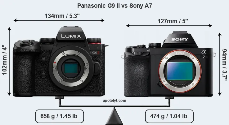 Size Panasonic G9 II vs Sony A7