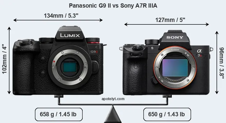 Size Panasonic G9 II vs Sony A7R IIIA