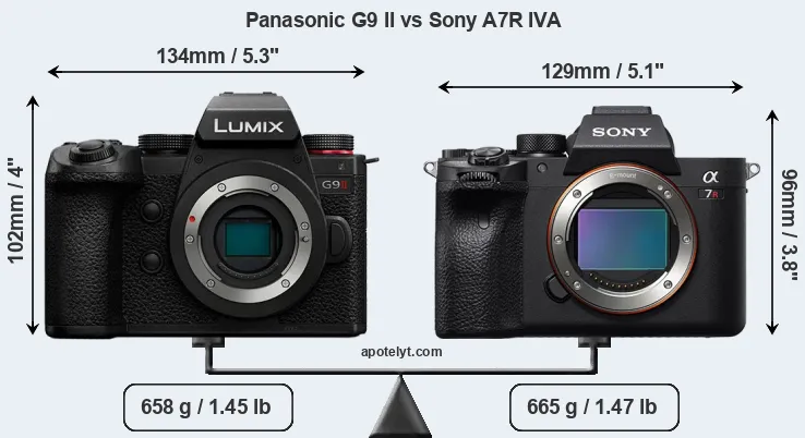 Size Panasonic G9 II vs Sony A7R IVA