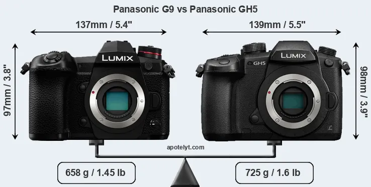 Size Panasonic G9 vs Panasonic GH5
