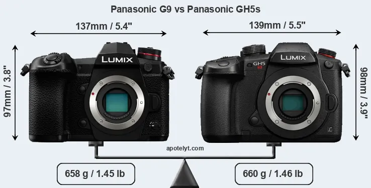 Size Panasonic G9 vs Panasonic GH5s
