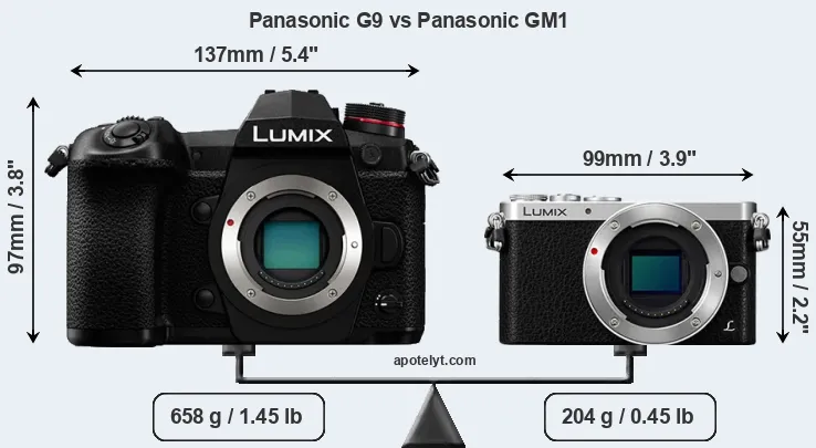 Size Panasonic G9 vs Panasonic GM1