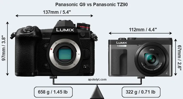 Size Panasonic G9 vs Panasonic TZ90