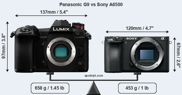 Size Panasonic G9 vs Sony A6500