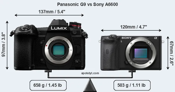 Size Panasonic G9 vs Sony A6600