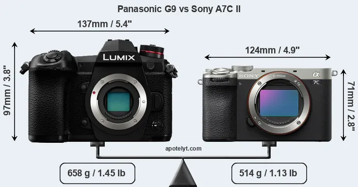 Size Panasonic G9 vs Sony A7C II
