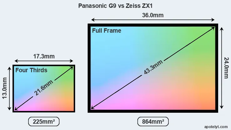 Panasonic G9 and Zeiss ZX1 sensor measures