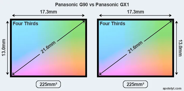 Panasonic G90 and Panasonic GX1 sensor measures
